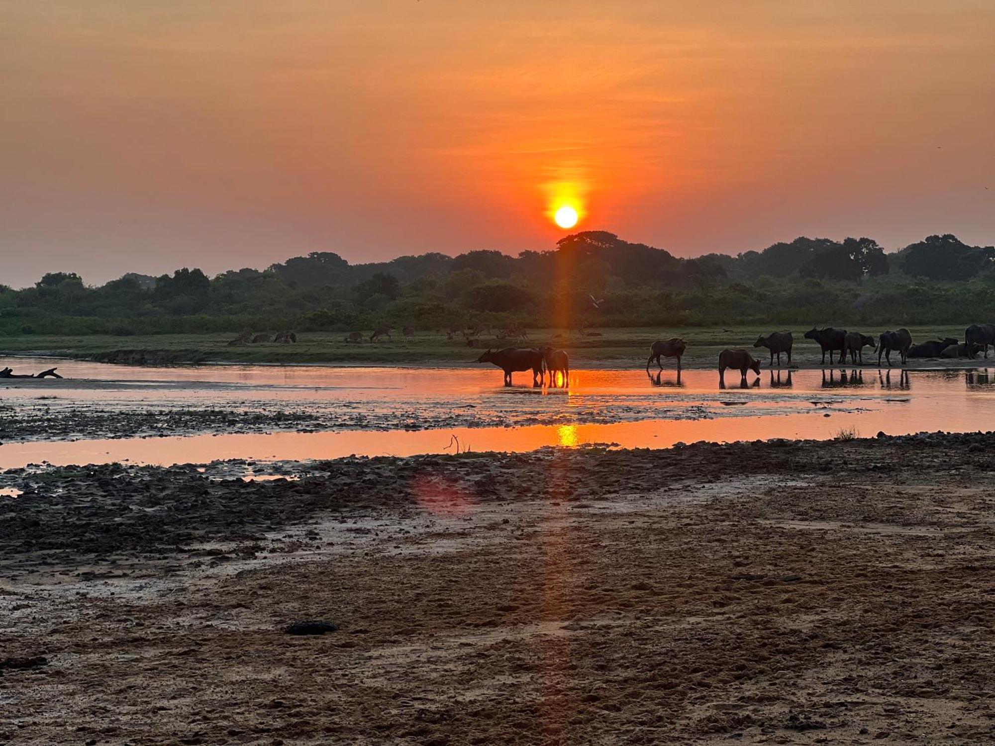 Kingfisher Beach Resort-Yala Kirinda  Zewnętrze zdjęcie